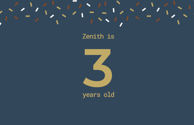 Here Are the Top 3 Lessons I Learned in Zenith's First 3 Years